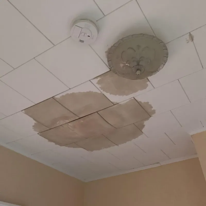 Ceiling Water Damage Repair in Avon Lake, OH