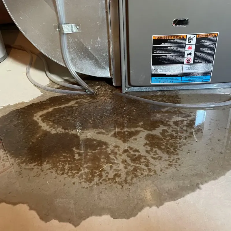 Pipe Burst and Leak Restoration in Avon Lake, OH